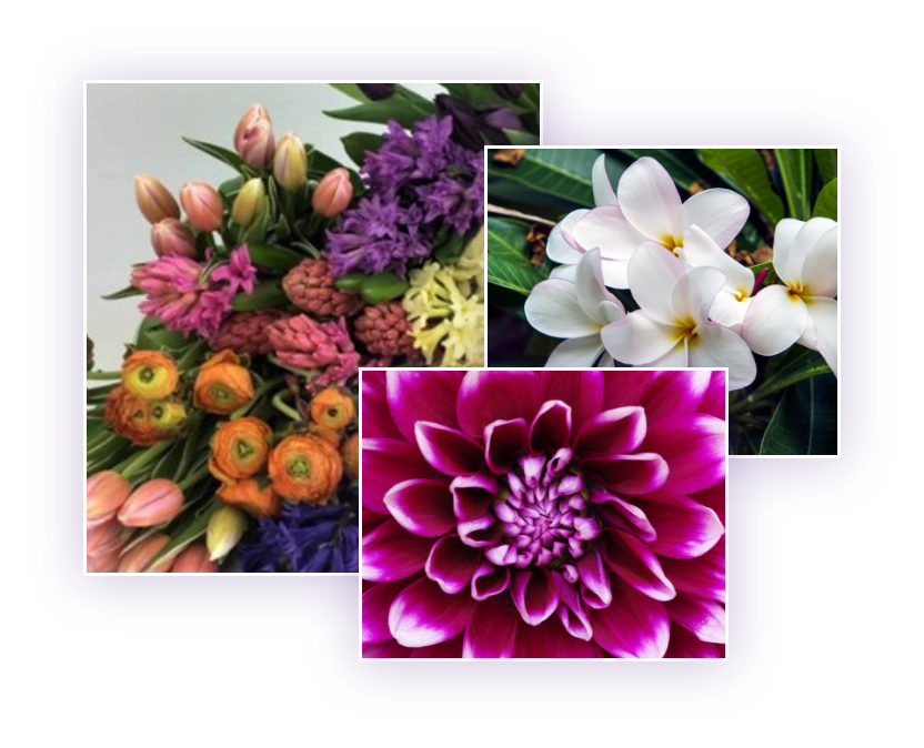flower bouquet next to purple and white flowers